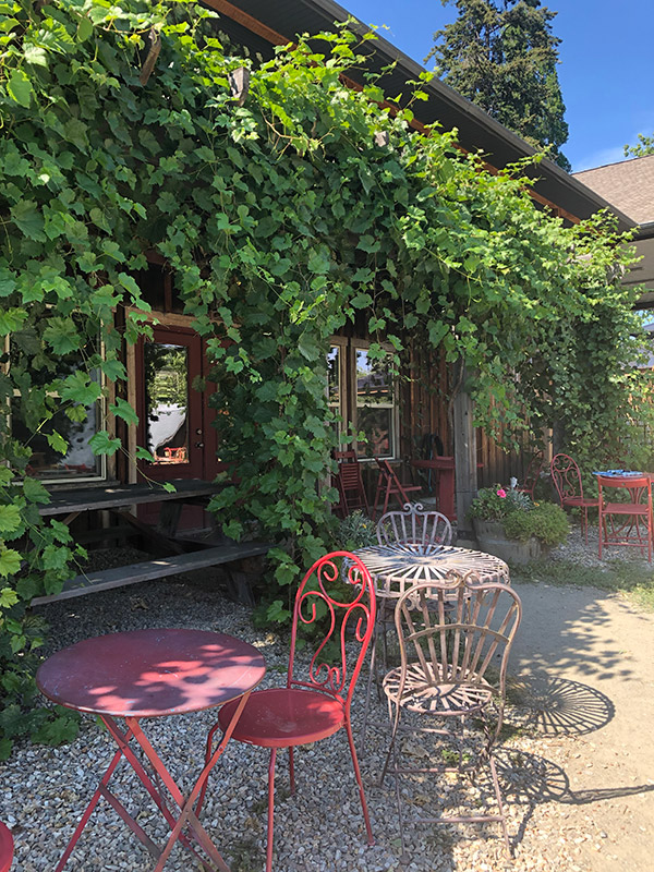 600pergolavines