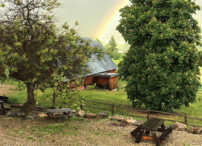 800barn rainbow